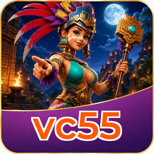 vc55 APK Structure