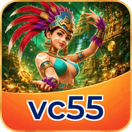 vc55 APK Structure