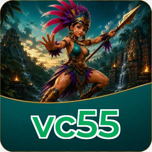 vc55 Features
