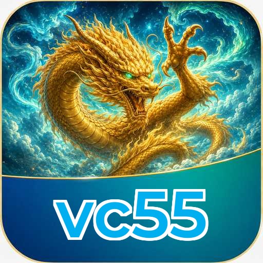 vc55 Technical Info