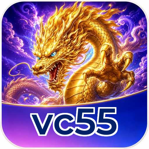 vc55 APK Structure
