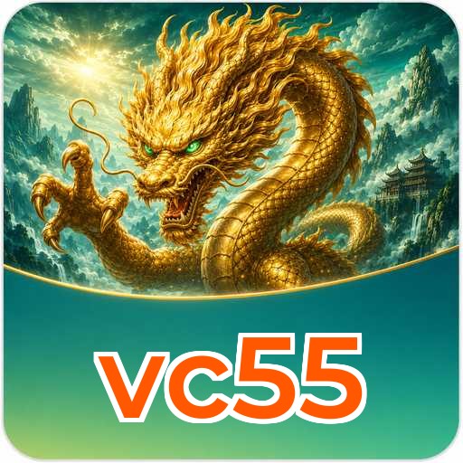 vc55 Technical Info