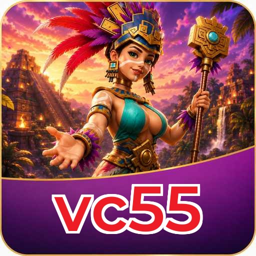 vc55 APK Structure