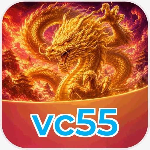 vc55 Technical Info
